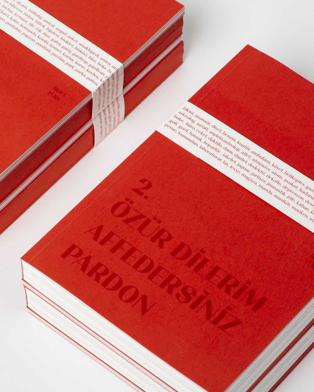 Seda Turk , memoire 2020 , mersi