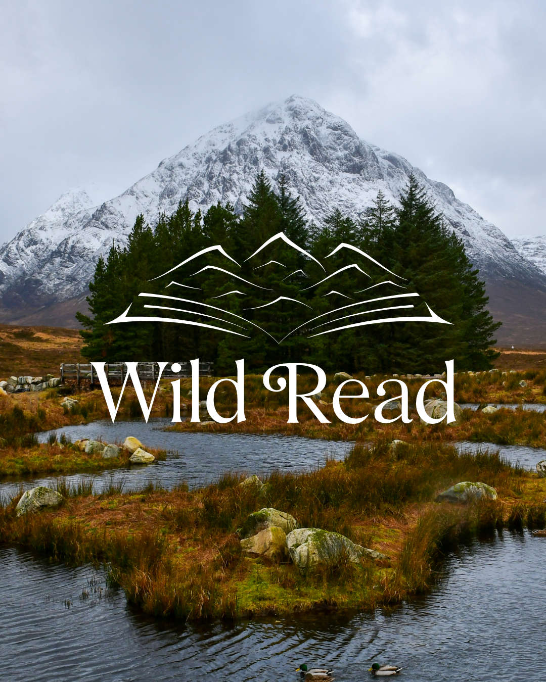 FontsInUse-MilkshakeDisplay-WildRead-1