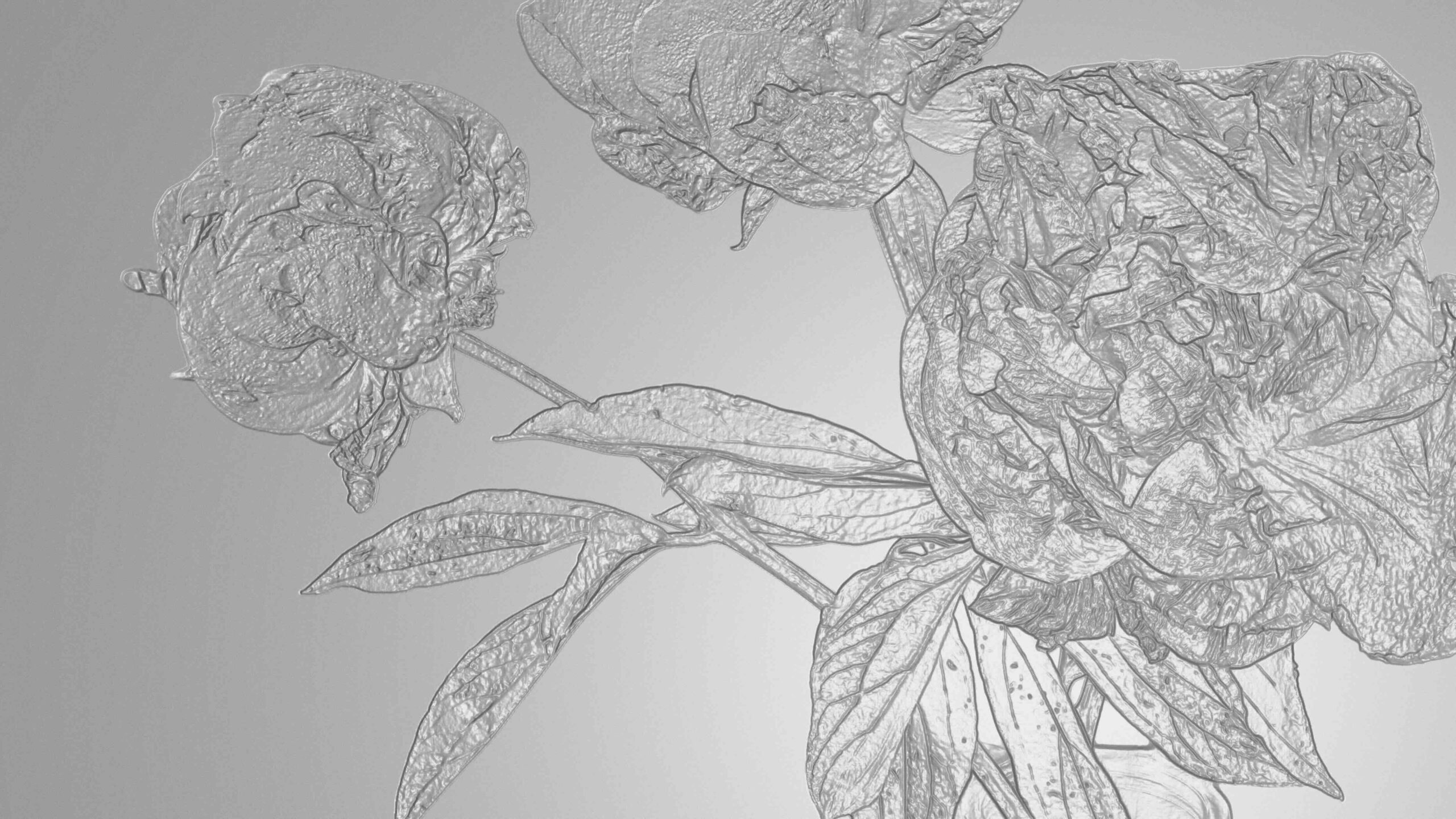 web_Staahl_10 web_Staahl_10