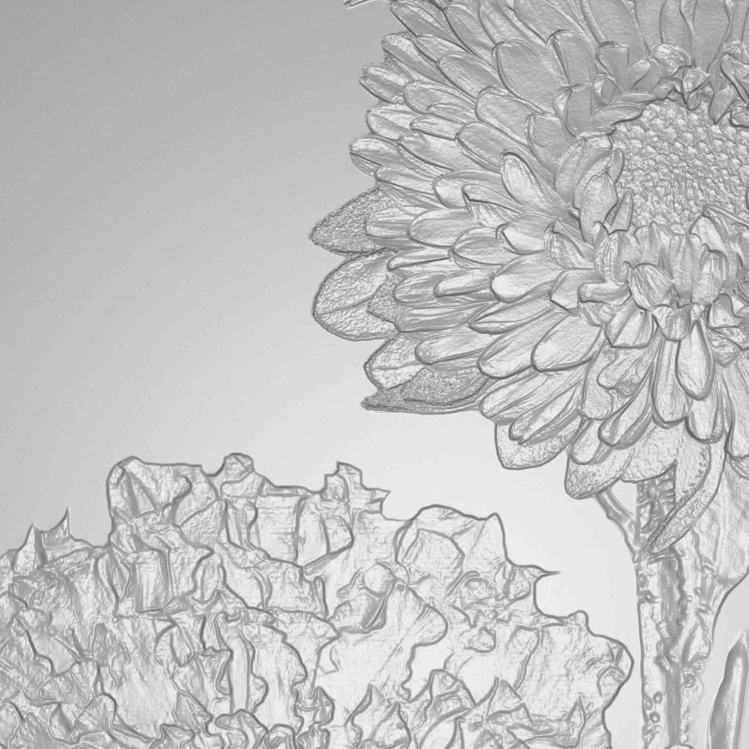 web_Staahl_9_square web_Staahl_9_square