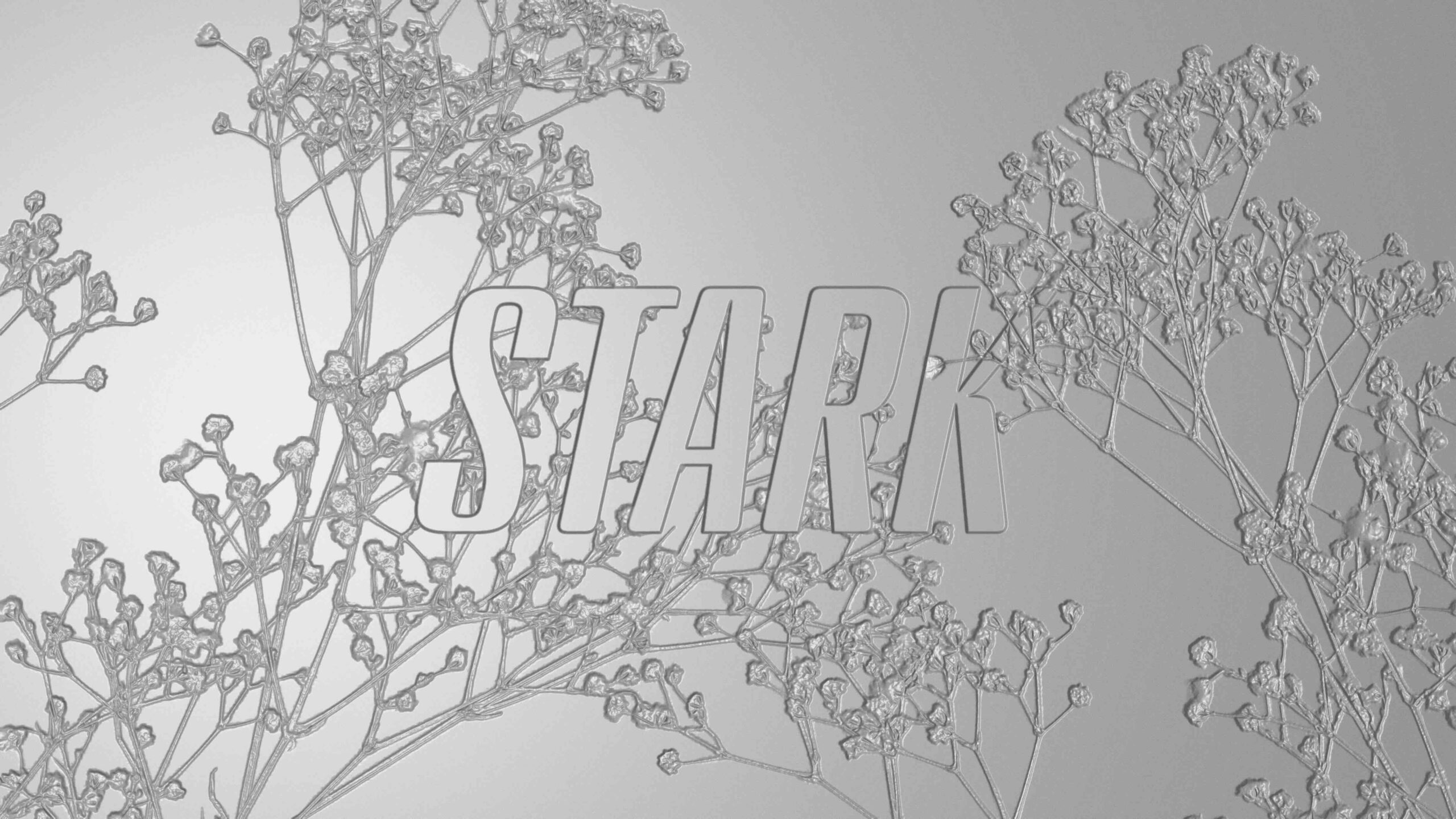 web_Staahl_textes_4 web_Staahl_textes_4